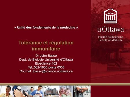 Tolérance et régulation immunitaire