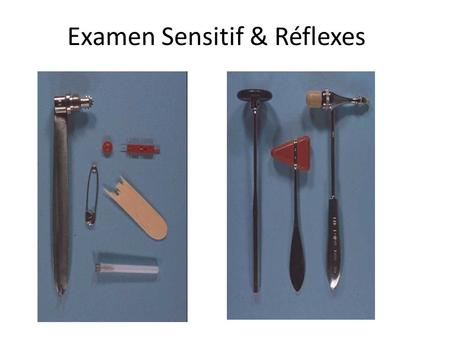 Examen Sensitif & Réflexes