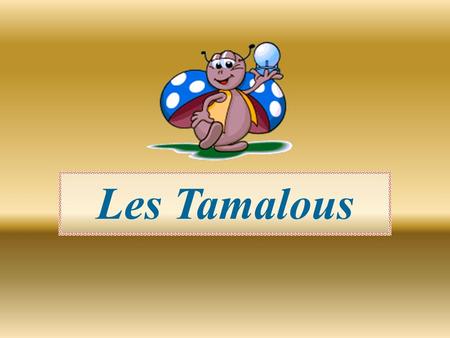 Les Tamalous.