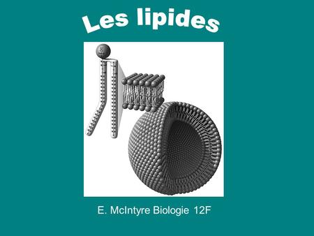 Les lipides E. McIntyre Biologie 12F.