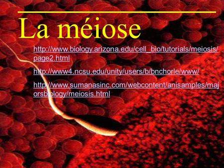 La méiose http://www.biology.arizona.edu/cell_bio/tutorials/meiosis/page2.html http://www4.ncsu.edu/unity/users/b/bnchorle/www/ http://www.sumanasinc.com/webcontent/anisamples/majorsbiology/meiosis.html.