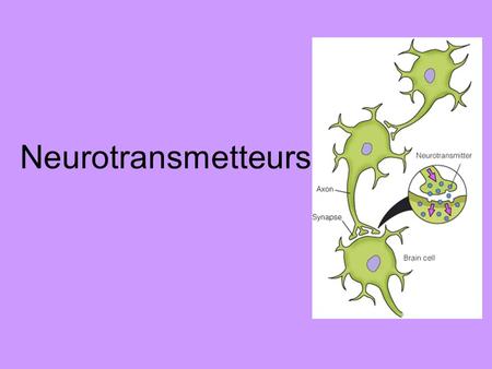 Neurotransmetteurs.