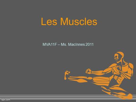 Les Muscles MVA11F – Ms. MacInnes 2011.