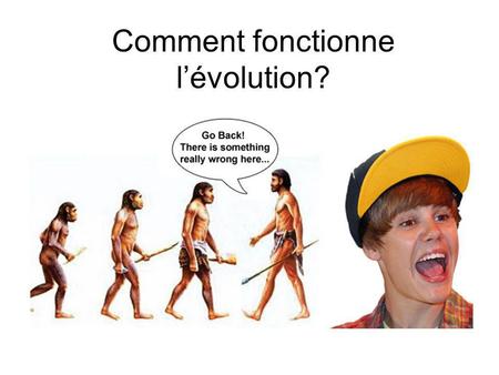 Comment fonctionne l’évolution?