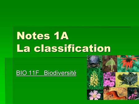 Notes 1A La classification
