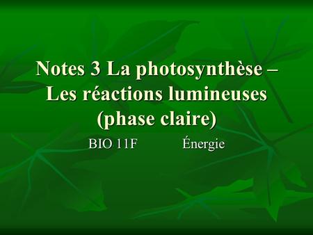 Notes 3 La photosynthèse – Les réactions lumineuses (phase claire)