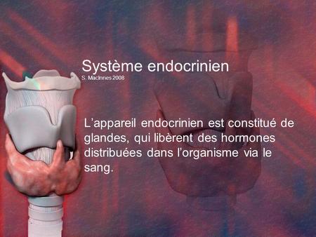 Système endocrinien S. MacInnes 2008