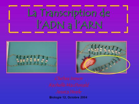 La Transcription de l’ADN a l’ARN