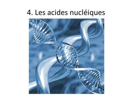 4. Les acides nucléiques.