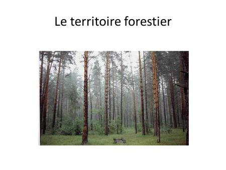 Le territoire forestier