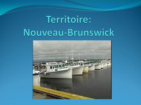 Partie A: Situation géographique Nouveau-Brunswick.