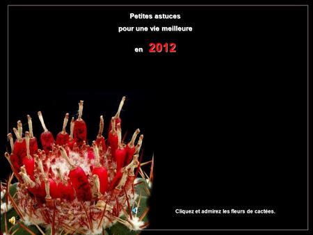 Petites astuces pour une vie meilleure en 2012 Cliquez et admirez les fleurs de cactées.
