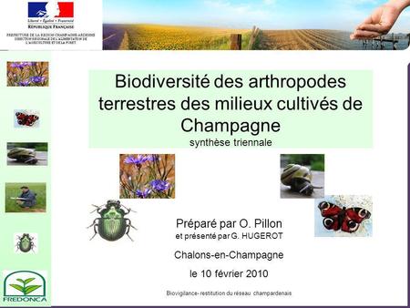 Biodiversité des arthropodes terrestres des milieux cultivés de Champagne