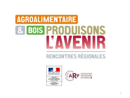 1. 2 Alain BERGER Délégué Interministériel aux Industries Agroalimentaires et à lAgro-industrie Présentation du diagnostic national.