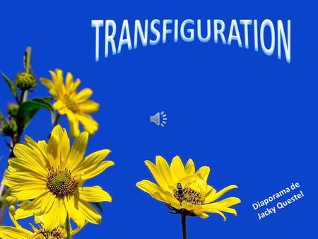 TRANSFIGURATION Diaporama de Jacky Questel.