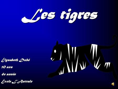 Les tigres Élysabeth Dubé 10 ans 4e année École L’Astrale.