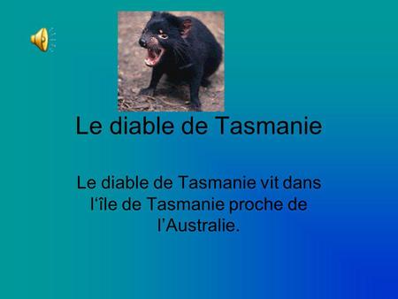 Le diable de Tasmanie Le diable de Tasmanie vit dans l‘île de Tasmanie proche de l’Australie.