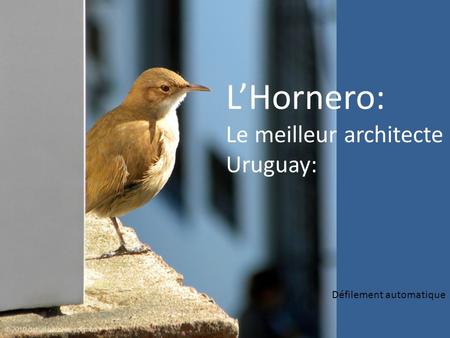 LHornero: Le meilleur architecte Uruguay: Défilement automatique.