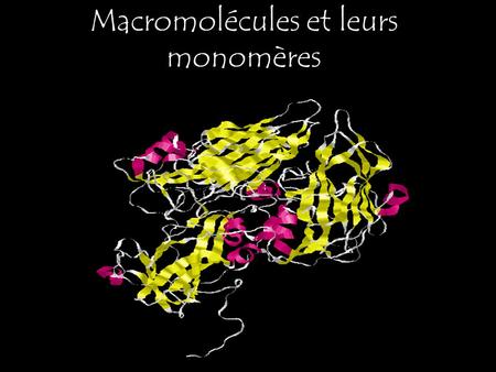Macromolécules et leurs monomères