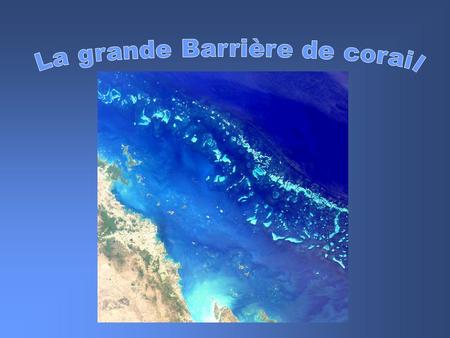 La grande Barrière de corail