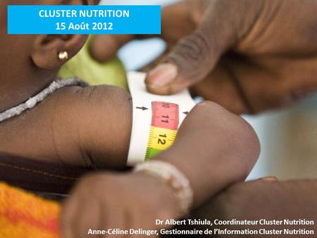 CLUSTER NUTRITION 15 Août 2012 Dr Albert Tshiula, Coordinateur Cluster Nutrition Anne-Céline Delinger, Gestionnaire de lInformation Cluster Nutrition.