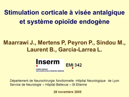 Stimulation corticale à visée antalgique et système opioïde endogène