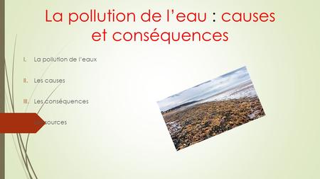 La pollution de l’eau : causes et conséquences I.La pollution de l’eaux II.Les causes III.Les conséquences IV.Les sources.
