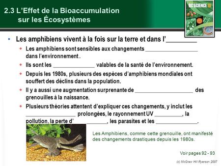 2.3 L’Effet de la Bioaccumulation sur les Écosystèmes