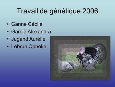 Travail de génétique 2006 Ganne Cécile Garcia Alexandra Jugand Aurélie