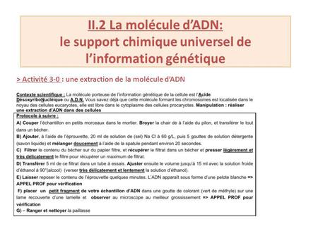 II.2 La molécule d’ADN: le support chimique universel de l’information génétique > Activité 3-0 : une extraction de la molécule d’ADN.