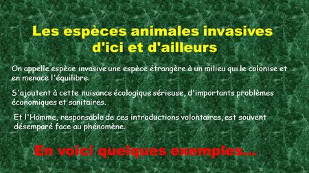 Les espèces animales invasives