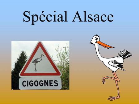 Spécial Alsace.