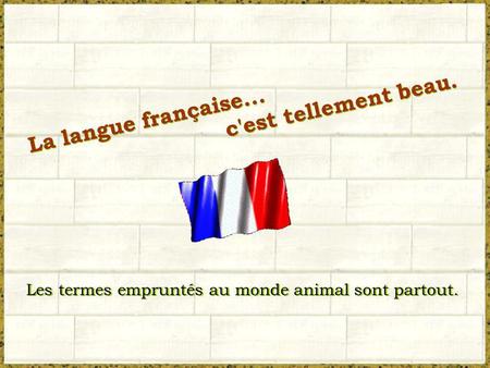 c'est tellement beau. La langue française...