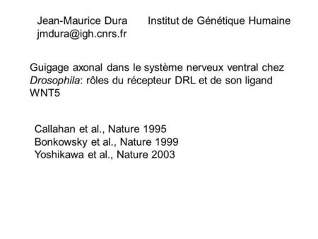 Guigage axonal dans le système nerveux ventral chez Drosophila: rôles du récepteur DRL et de son ligand WNT5 Jean-Maurice Dura Institut de Génétique Humaine.