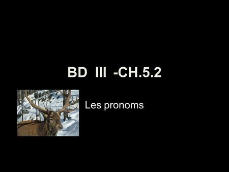 BD III	-CH.5.2 Les pronoms.
