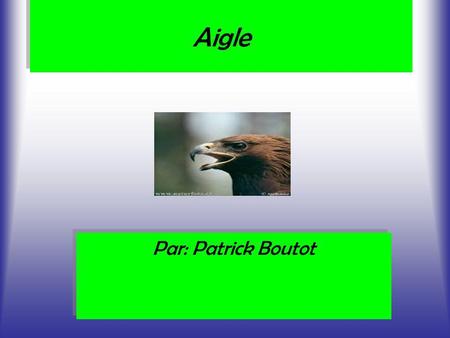 Aigle Par: Patrick Boutot.