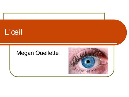 L’œil Megan Ouellette.