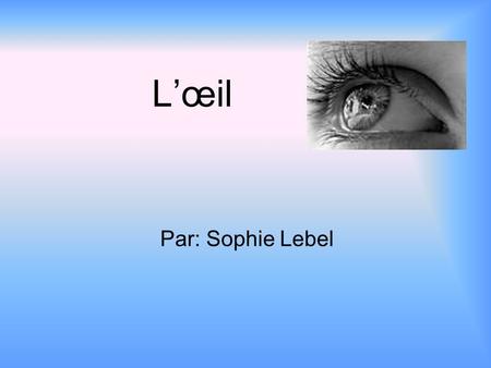 L’œil Par: Sophie Lebel.