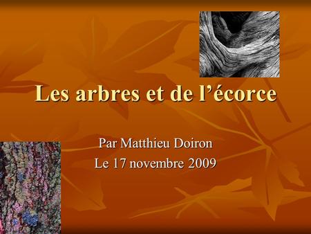 Les arbres et de lécorce Par Matthieu Doiron Le 17 novembre 2009.