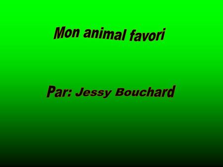 Mon animal favori Par: Jessy Bouchard.