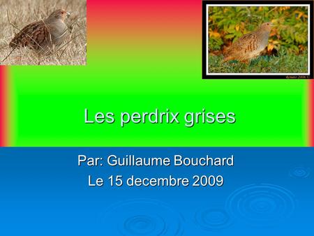 Par: Guillaume Bouchard Le 15 decembre 2009