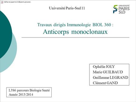 Travaux dirigés Immunologie BIOL 360 : Anticorps monoclonaux