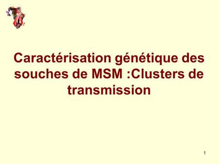 Caractérisation génétique des souches de MSM :Clusters de transmission