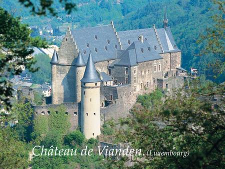 Château de Vianden. (Luxembourg) Pour la 5e année consécutive, le magnifique Château Palais et la ville de Vianden se sont métamorphosés durant une dizaine.