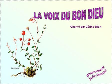 LA VOIX DU BON DIEU Chanté par Céline Dion Diaporama de Jacky Questel.