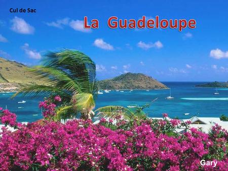 Cul de Sac La Guadeloupe Gary.