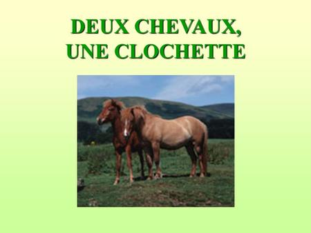 DEUX CHEVAUX, UNE CLOCHETTE En haut de la rue où jhabite, il y a une prairie dans laquelle se trouvent deux chevaux. De loin, lun et lautre ressemblent.
