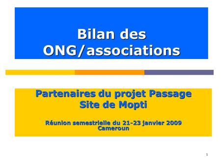 1 Bilan des ONG/associations Partenaires du projet Passage Site de Mopti Réunion semestrielle du 21-23 janvier 2009 Cameroun.