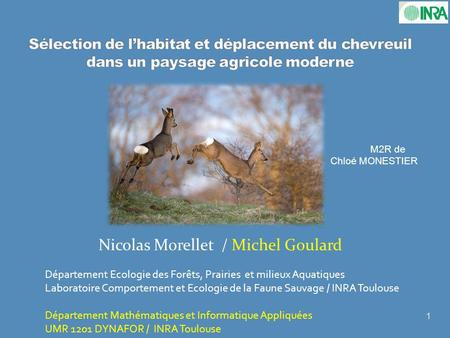 Nicolas Morellet / Michel Goulard