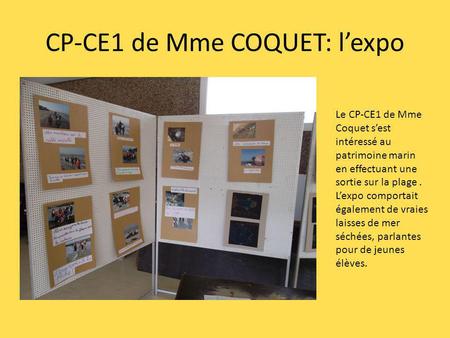 CP-CE1 de Mme COQUET: l’expo
